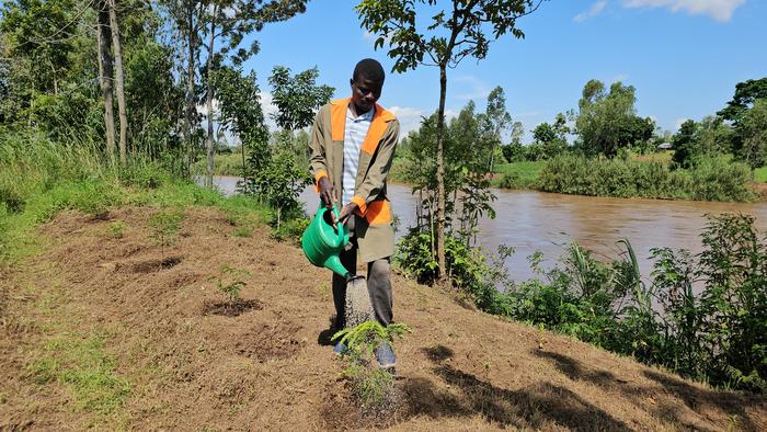 western-kenyan-farmers-advocate-for-native-tree-restoration-despite-ongoing-challenges
