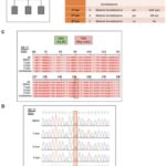 new-insights-into-retinoblastoma:-pathogenic-variants-indicate-possible-gain-of-function-mutation
