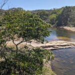 unseen-‘highways’-link-brazil’s-rainforests