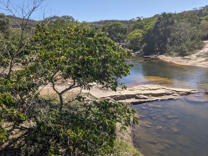 unseen-‘highways’-link-brazil’s-rainforests