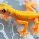 step-into-innovation:-gecko-inspired-polymer-develops-ice-defying-adhesion