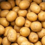 researchers-tackle-potato-storage-challenges:-innovations-in-preservation