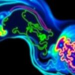 new-research-reveals-elevated-plastic-levels-in-the-placentae-of-preterm-infants