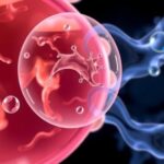 new-study-unveils-the-protective-properties-of-amniotic-fluid
