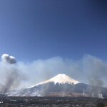 prescribed-burning:-a-key-practice-for-enhancing-biodiversity-in-grasslands