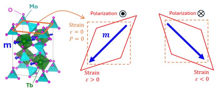 this-multiferroic-material-withstands-temperatures-up-to-160°c!