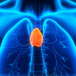mechanism-for-self-repair-of-the-thymus-identified
