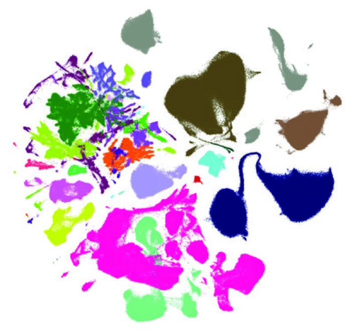 research-reveals-differential-aging-effects-on-brain-cells