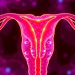 revolutionizing-ovarian-cancer-detection:-the-role-of-ai-in-enhancing-diagnoses