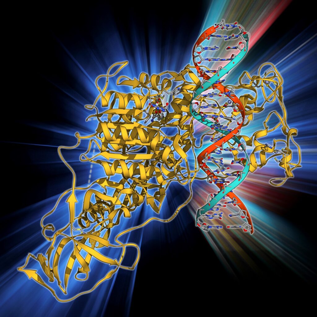 epigenetic-clocks-show-biological-age-at-cell-type-resolution