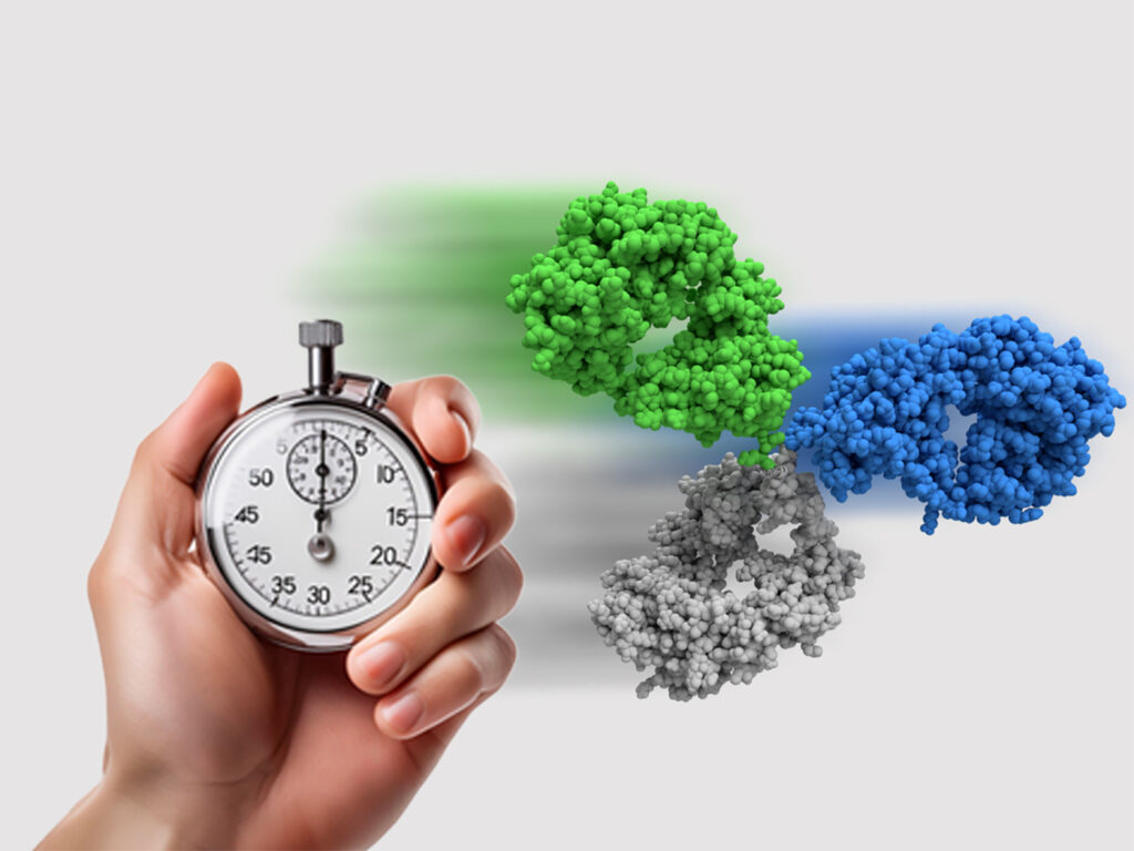 accelerating-bispecific-antibody-discovery:-from-antigens-to-lead-panels-in-just-four-months