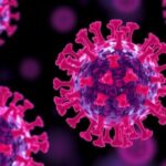 car-t-cells-retain-memories-of-previous-encounters-in-new-research-insights