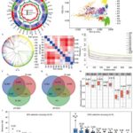 exploring-genetic-diversity-and-breeding-impact-in-contemporary-maize-inbred-lines