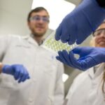 discover-how-these-bacteria-may-enhance-plant-health