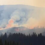 recent-decades-show-increased-severity-of-wildfires-in-canadian-forests