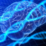 unfolding-a-potential-treatment-for-“smooth-brain”-disorders