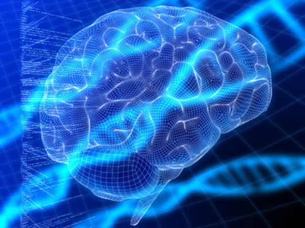 unfolding-a-potential-treatment-for-“smooth-brain”-disorders