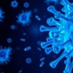 johns-hopkins-apl-modeling-tool-highlights-testing’s-essential-role-in-pandemic-response