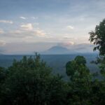 collaborative-management-of-protected-areas-by-ngos-and-african-nations-mitigates-deforestation