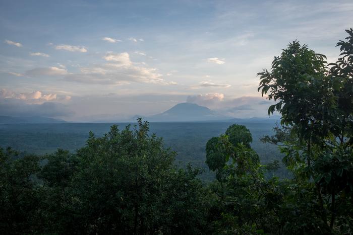 collaborative-management-of-protected-areas-by-ngos-and-african-nations-mitigates-deforestation