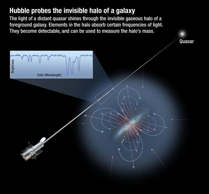 carbon-in-our-bodies-likely-took-a-cosmic-journey-before-returning-home
