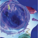 single-cell-protein-profiling-solution