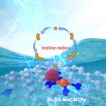 breakthrough-catalyst-design-paves-the-way-for-advanced-zinc-iodine-battery-technology