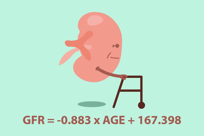 age-matters:-enhanced-precision-in-kidney-disorder-detection