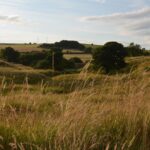 ancient-rome’s-decline-in-iq-linked-to-widespread-lead-pollution,-new-research-reveals