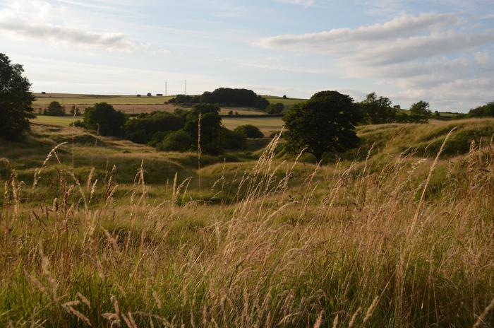 ancient-rome’s-decline-in-iq-linked-to-widespread-lead-pollution,-new-research-reveals