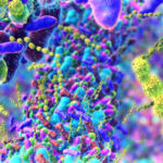food’s-affect-on-gut-microbiome-probed-by-comparing-vegan,-vegetarian,-and-omnivore-diets