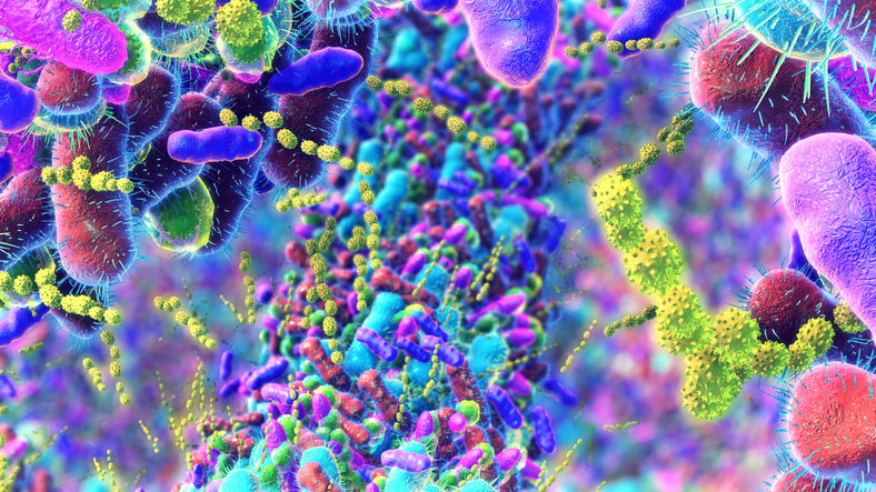 food’s-affect-on-gut-microbiome-probed-by-comparing-vegan,-vegetarian,-and-omnivore-diets