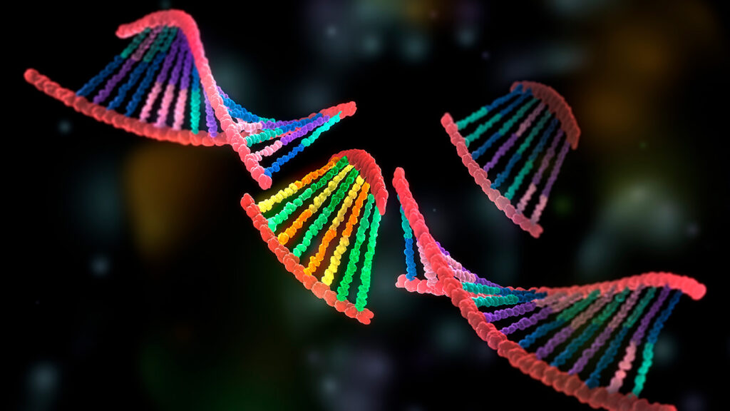 rapid-synthesis-of-full-length-high-complexity-clonal-genes