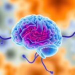 new-usc-research-uncovers-connection-between-dementia-and-brain-waste-clearance-dysfunction