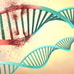 novel-mechanism-in-dna-damage-unraveled