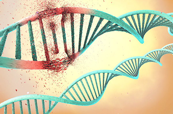 novel-mechanism-in-dna-damage-unraveled