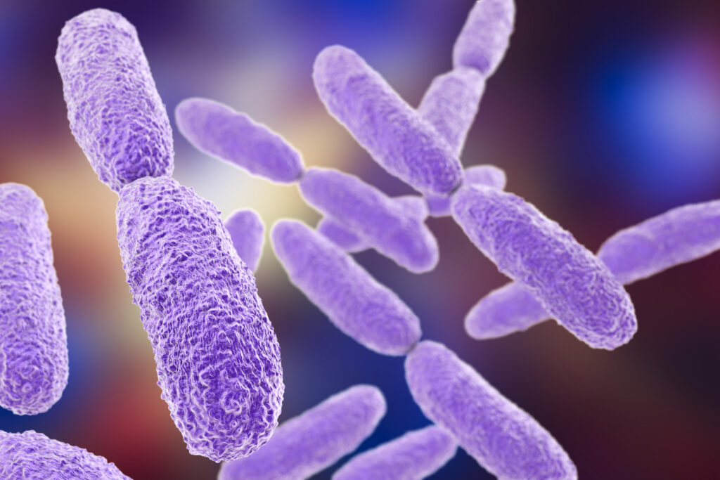 new-achilles-heel-exposed-in-antibiotic-resistance
