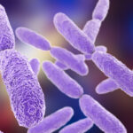 new-achilles-heel-exposed-in-antibiotic-resistance
