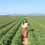 research-evaluates-the-advantages-of-alfalfa-almond-intercropping