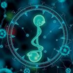 ai-enhances-success-rates-of-ivf-treatments,-new-research-shows