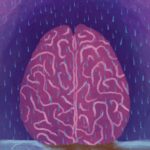 sleep-aid-disrupts-norepinephrine-mediated-waste-clearance-in-mice