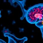 genes-essential-for-healthy-brain-development-may-drive-adult-glioblastoma-growth