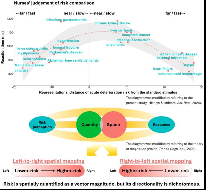 how-information-organization-influences-the-speed-of-risk-perception