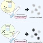 evaluating-the-antiviral-properties-of-ozonated-water-against-sars-cov-2-in-saliva