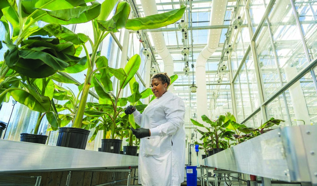 agbio-companies-embrace-gene-editing-for-stronger-food-future