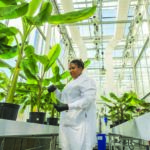 agbio-companies-embrace-gene-editing-for-stronger-food-future