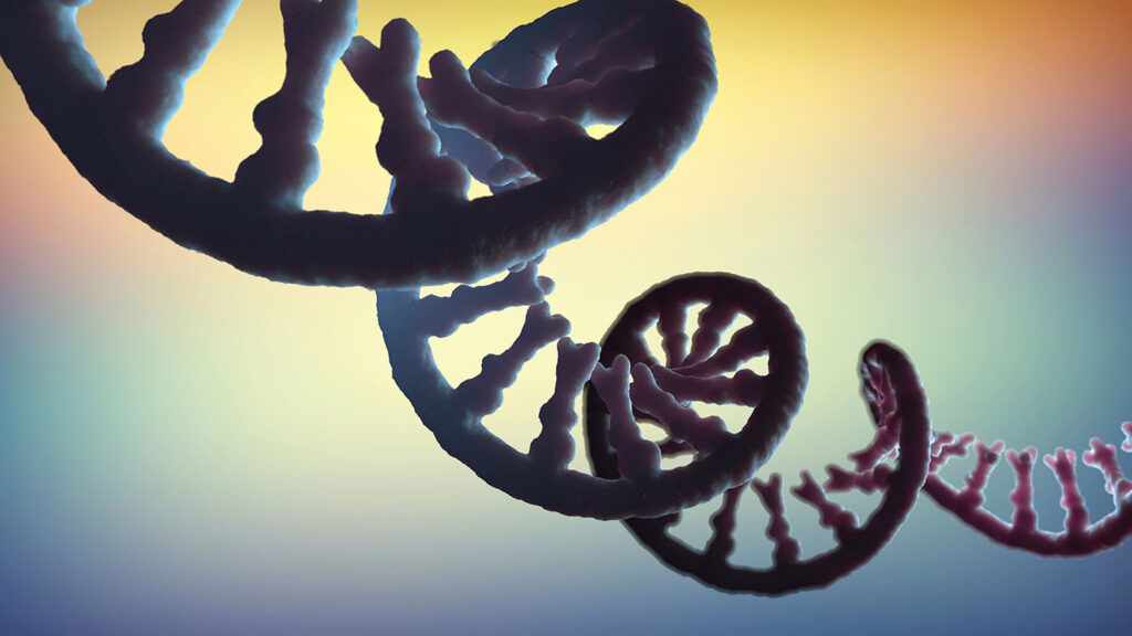 measuring-intact-(full-length,-capped,-tailed)-mrna-in-a-single-assay:-5′capq