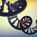 measuring-intact-(full-length,-capped,-tailed)-mrna-in-a-single-assay:-5′capq