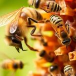 optimized-treatment-timing-mitigates-honey-bee-mortality-from-varroa-mites