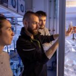 michael-sars-centre-collaborates-with-paris-aquarium-to-unveil-comb-jellies-to-the-public